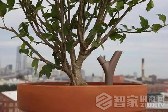 æ™ºèƒ½å®¶å±…è¿™äº›åˆ›æ„åº”ç”¨ï¼Œä½ éƒ½ä½“éªŒè¿‡å—ï¼Ÿ