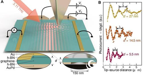 Near-field terahertz photocurrent-graphene plasma non-local quantum effect
