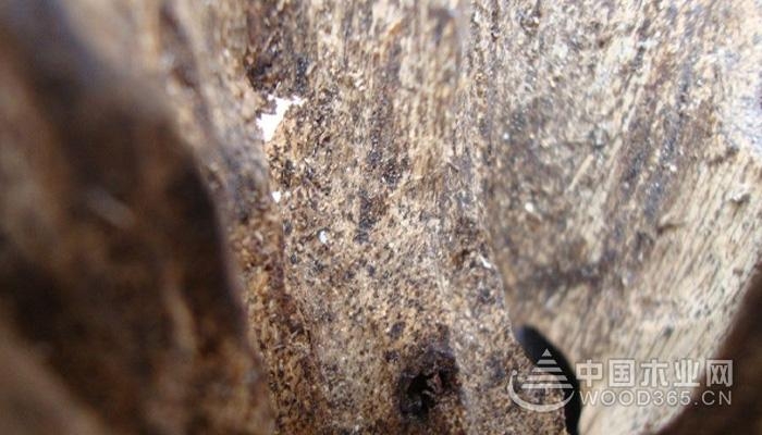 What is agarwood? What is the effect of agarwood?