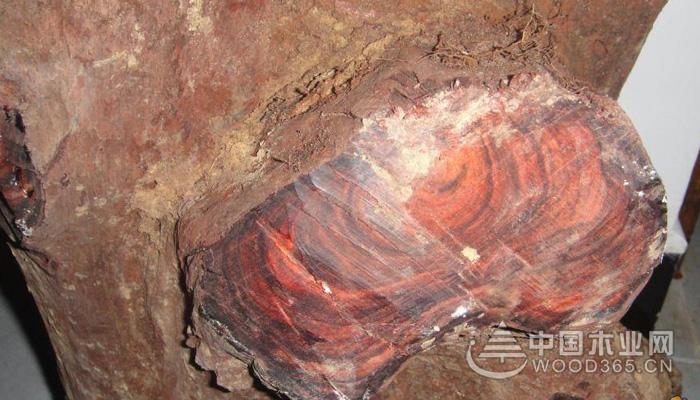 Laos Siamese rosewood and Cambodian red rosewood