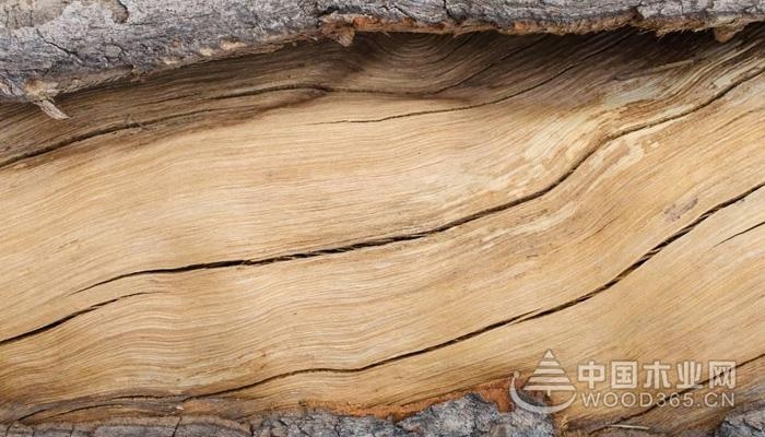 Reasons for wood cracking and solutions