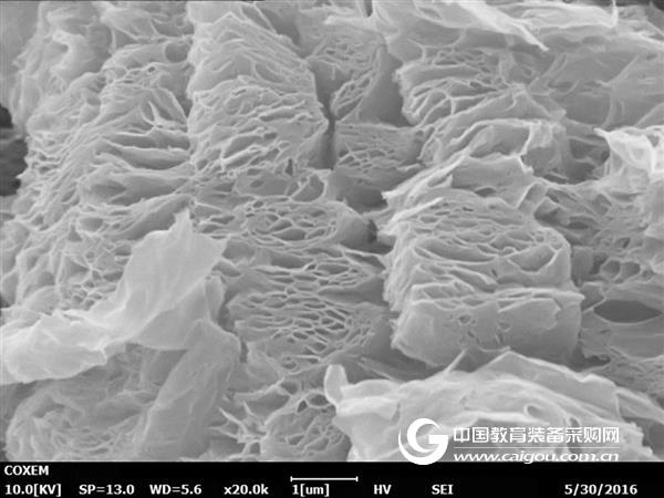 Microscopic world of OPTON | Issue 16 All-round graphene