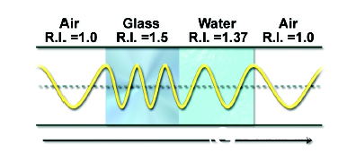 Principle of phase contrast microscope and tutorial