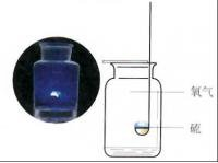 Basic structure of sulfur dioxide