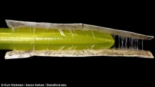 Stanford University develops a new "snake" search and rescue robot
