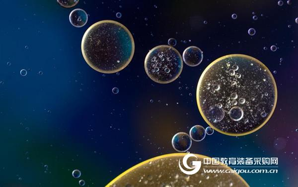 New try! Oncolytic virus + stem cells, against metastatic brain tumors
