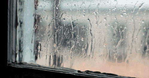 Can rain actually affect human capital investment?