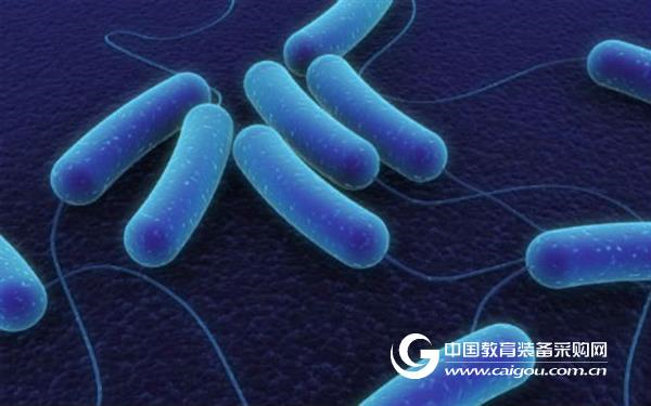 New in Nature's publication: predicting whether super bacteria are deadly