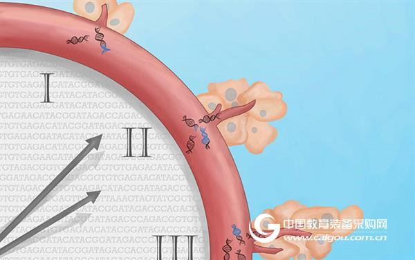 Sequencing method TEC SEQ makes cancer blood test one step further