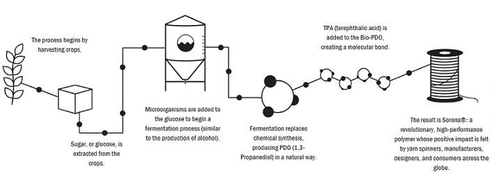 Image: Flowchart showing the extraction of glucose from crops into Sorona.