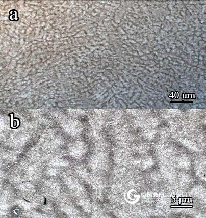 Application of advanced electron microscopy in scientific frontiers and industrial production