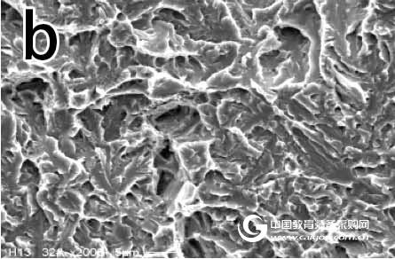 Application of advanced electron microscopy in scientific frontiers and industrial production