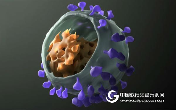 Science: "3 in 1" new antibody, effective against multiple HIV