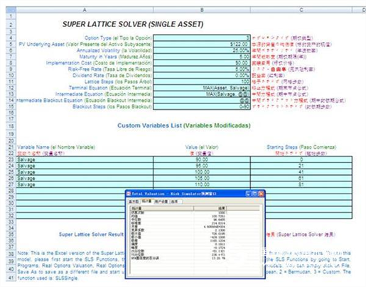 Risk Simulator risk-based management compensation assessment