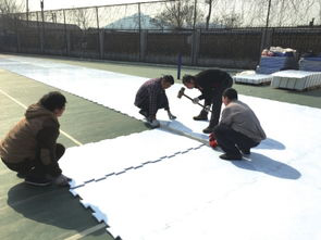 Simulation ice rink to promote the popularization of campus ice and snow sports