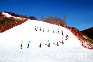 Simulation ice rink to promote the popularization of campus ice and snow sports