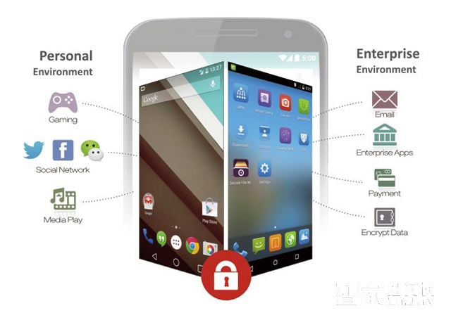Smart Terminal Security Issues