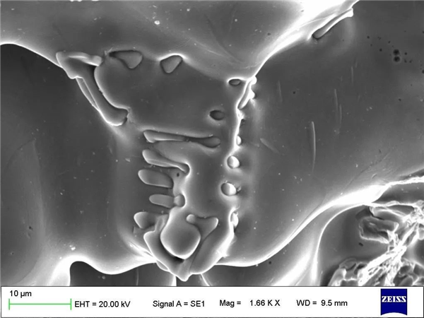 Application of Scanning Electron Microscopy (SEM) in Fracture Analysis of Steel Materials