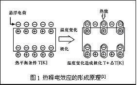 Digital camera