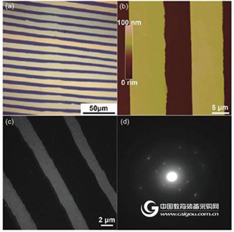 Performance improvement of C60 single crystal field effect transistor: influence of PFN+Br-intermediate layer