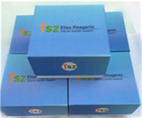 ELISA Kit