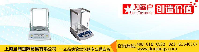 Electronic balance