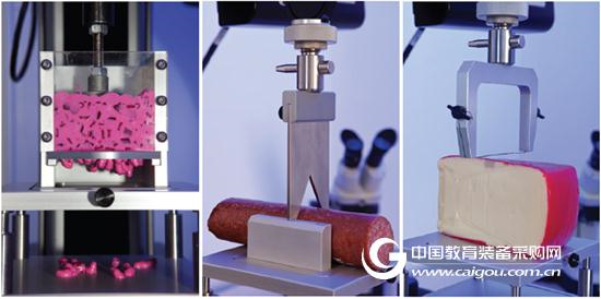 Handing food texture inspection to Labthink intelligent electronic tensile testing machine