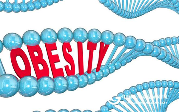 It’s easy to get fat and has been written in the gene.