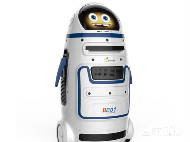 Chubby Smart Robot â€“ Key Features Overview.jpg
