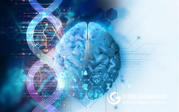 Science's latest decryption: where is the difference between the human brain and the monkey brain?