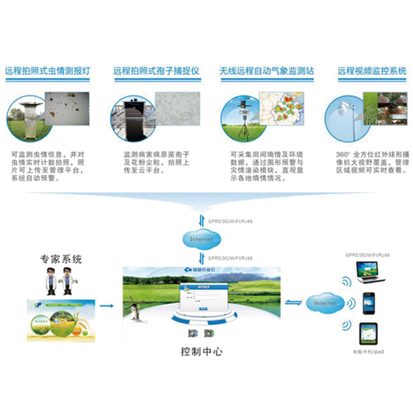 Digital Monitoring and Early Warning System for Major Plant Diseases and Insect Pests