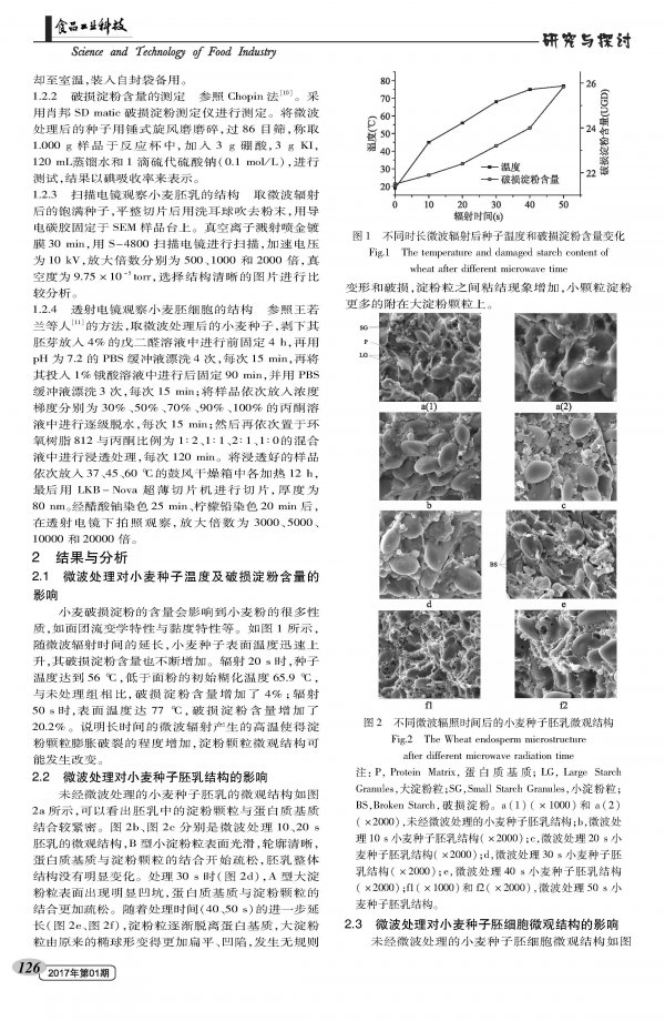 Effect of Microwave Radiation on Microstructure of Wheat Seeds