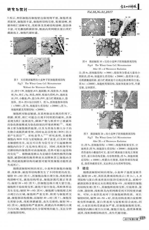 Effect of Microwave Radiation on Microstructure of Wheat Seeds