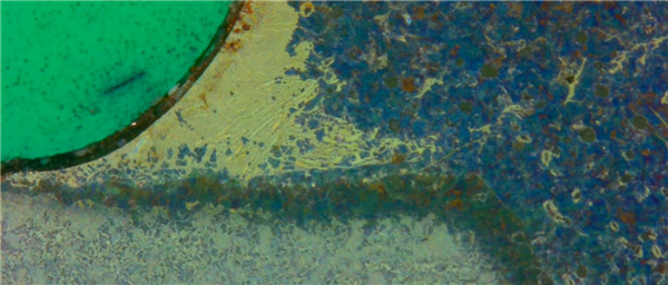 Digital video microscopes are widely used in many industries