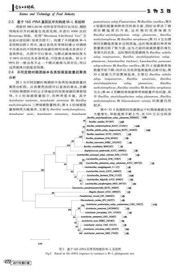 Isolation, Identification and Population Succession of Cultured Bacteria in Wine Cellar during Brewing