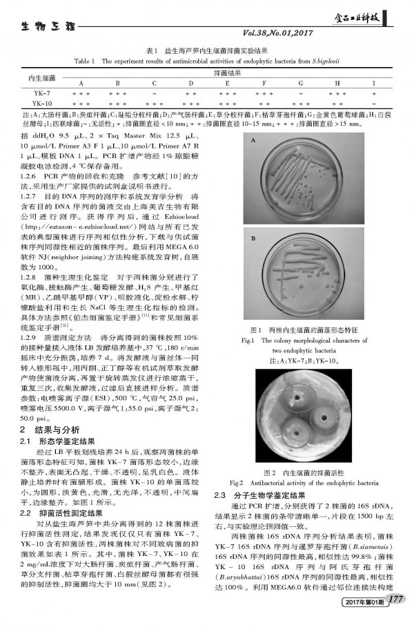 Identification of Endophytic Bacteria of Asparagus in Yanshenghai Based on NRPS Functional Gene Screening
