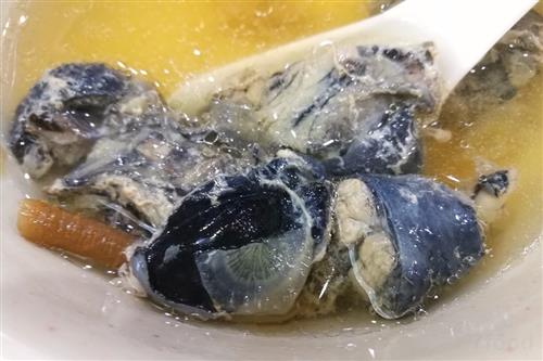 æ±¤