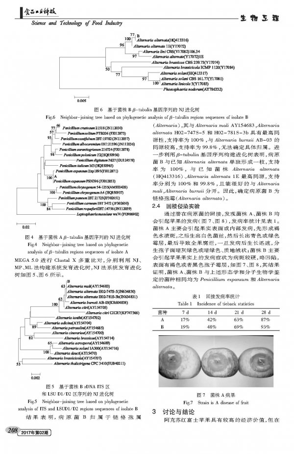Isolation and Identification of Post-harvest Rot Pathogenic Fungi from Aksu Red Fuji Apple