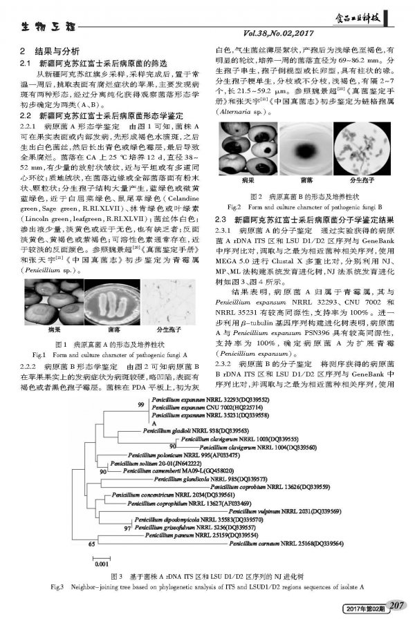 Isolation and Identification of Post-harvest Rot Pathogenic Fungi from Aksu Red Fuji Apple