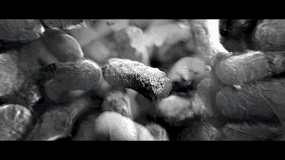 0.gif