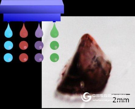 Making 3D bioprinting easier Osaka University has found this method