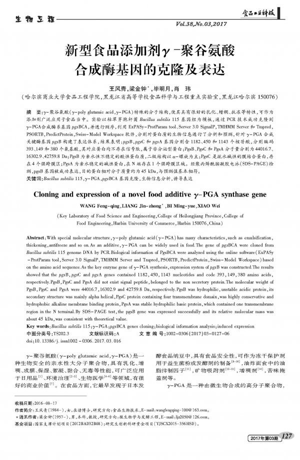 Cloning and expression of a novel food additive Î³-polyglutamate synthase gene