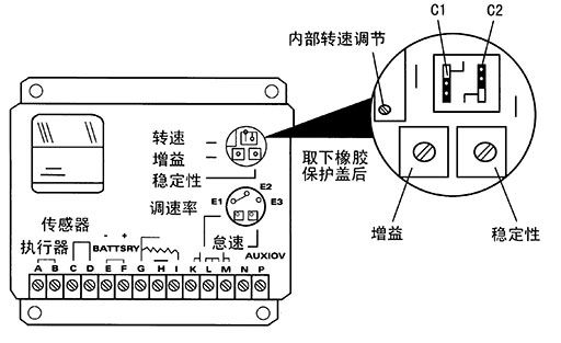 Electronic governor