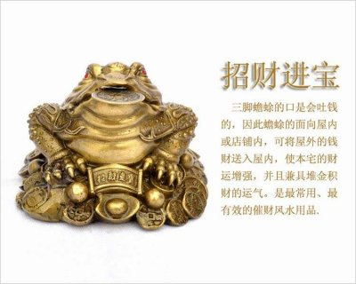 é‡‘èŸ¾çš„æ‘†æ”¾æ–¹æ³•