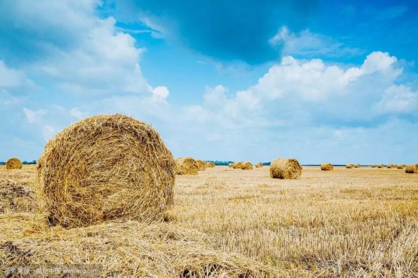 The carbonization equipment of pyrolysis straw has great effect on the soil restoration of cultivated land