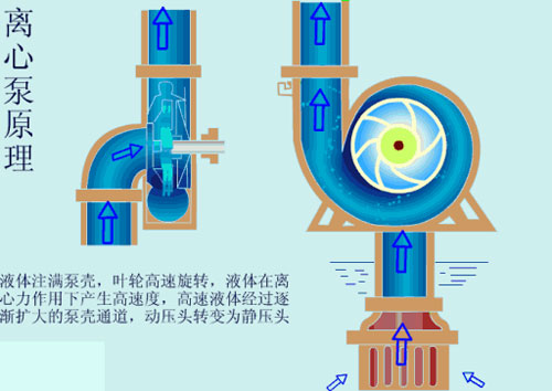 ç¦»å¿ƒæ³µå¯åŠ¨æ—¶è¦ä¸è¦å…³é—­å‡ºå£é˜€é—¨