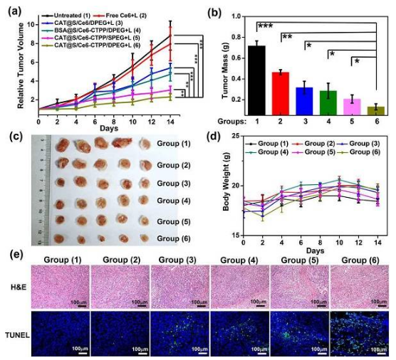 è‹å·žå¤§å­¦åˆ˜åº„&æŽæ–ŒNano Letters: pHå“åº”çš„æ™ºèƒ½çº³ç±³ååº”å™¨ç”¨äºŽç™Œç—‡æ²»ç–—