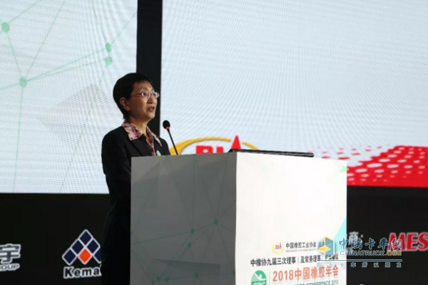 Deng Yachen, President of China Rubber Industry Association, made a report