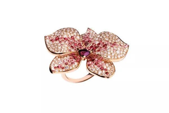 å¡åœ°äºšCaresse dâ€™orchidÃ©eså…°èŠ±ç³»åˆ—æˆ’æŒ‡