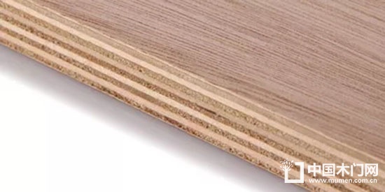 Wooden door panel